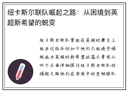 纽卡斯尔联队崛起之路：从困境到英超新希望的蜕变